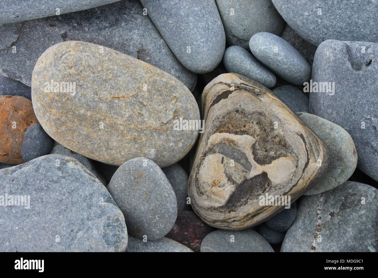 Lower east chezzetcook hires stock photography and images Alamy