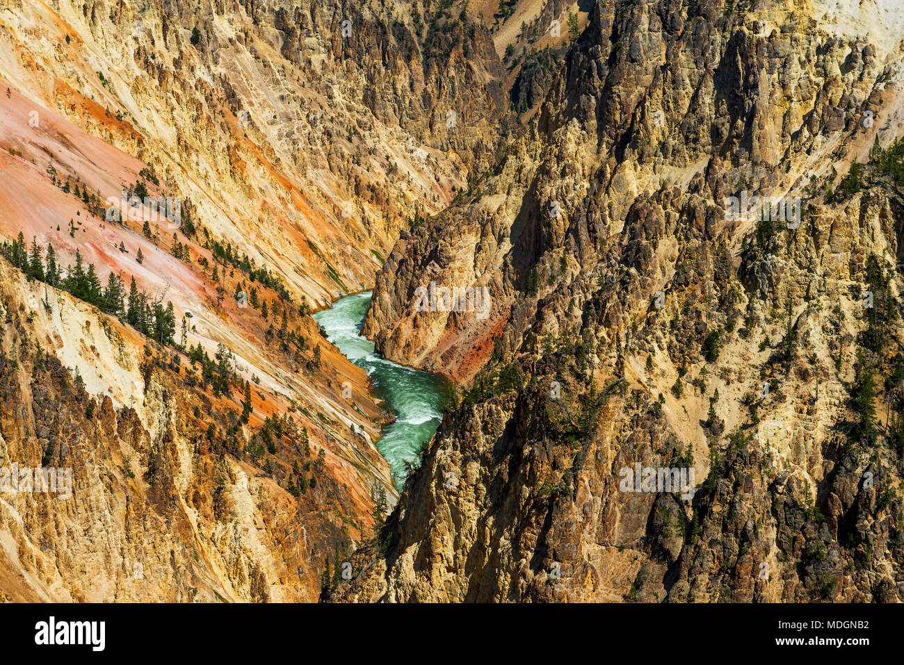 Landscape over the Grand canyon of the Yellowstone with the Yellowstone river underneath inside Yellowstone National Park, Wyoming, USA. Stock Photo