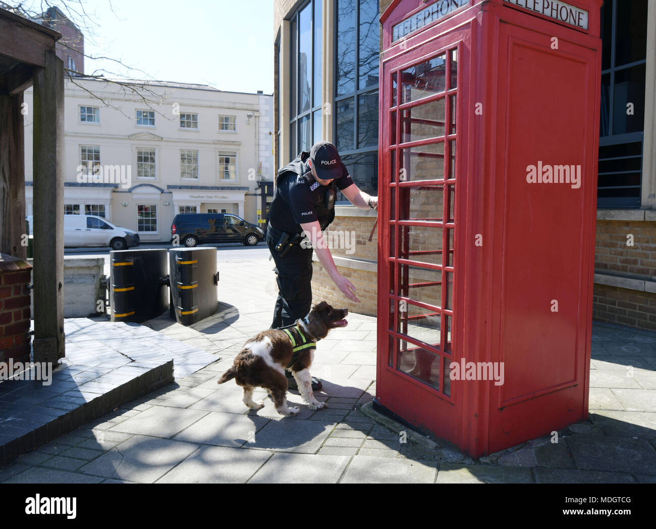 Thames Valley Police Joint Operations Dog Unit on patrol in Windsor ahead of next month's wedding of Prince Harry and Meghan Markle. Stock Photo