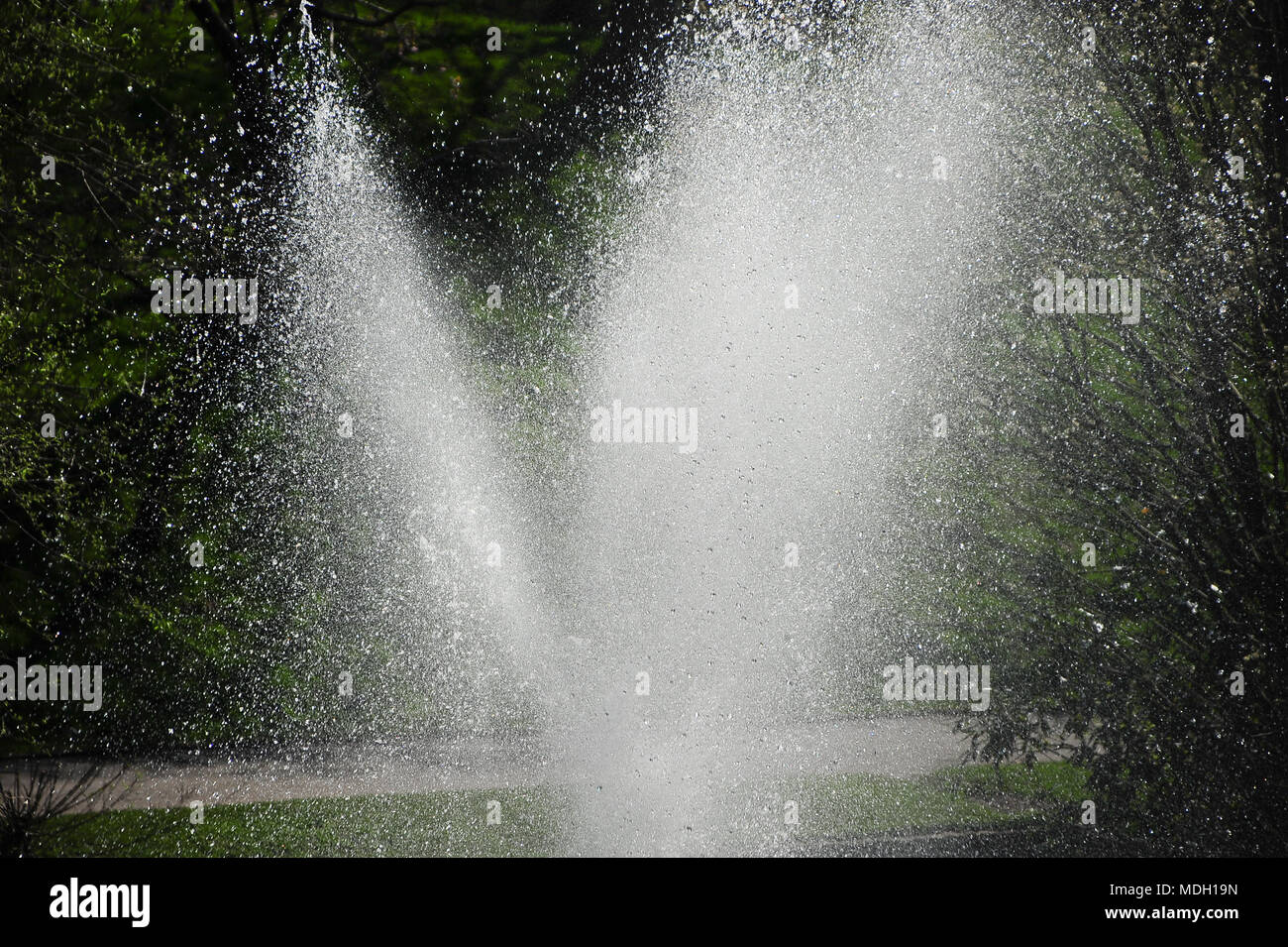spring time in Sefton Park, Liverpool, England Stock Photo - Alamy