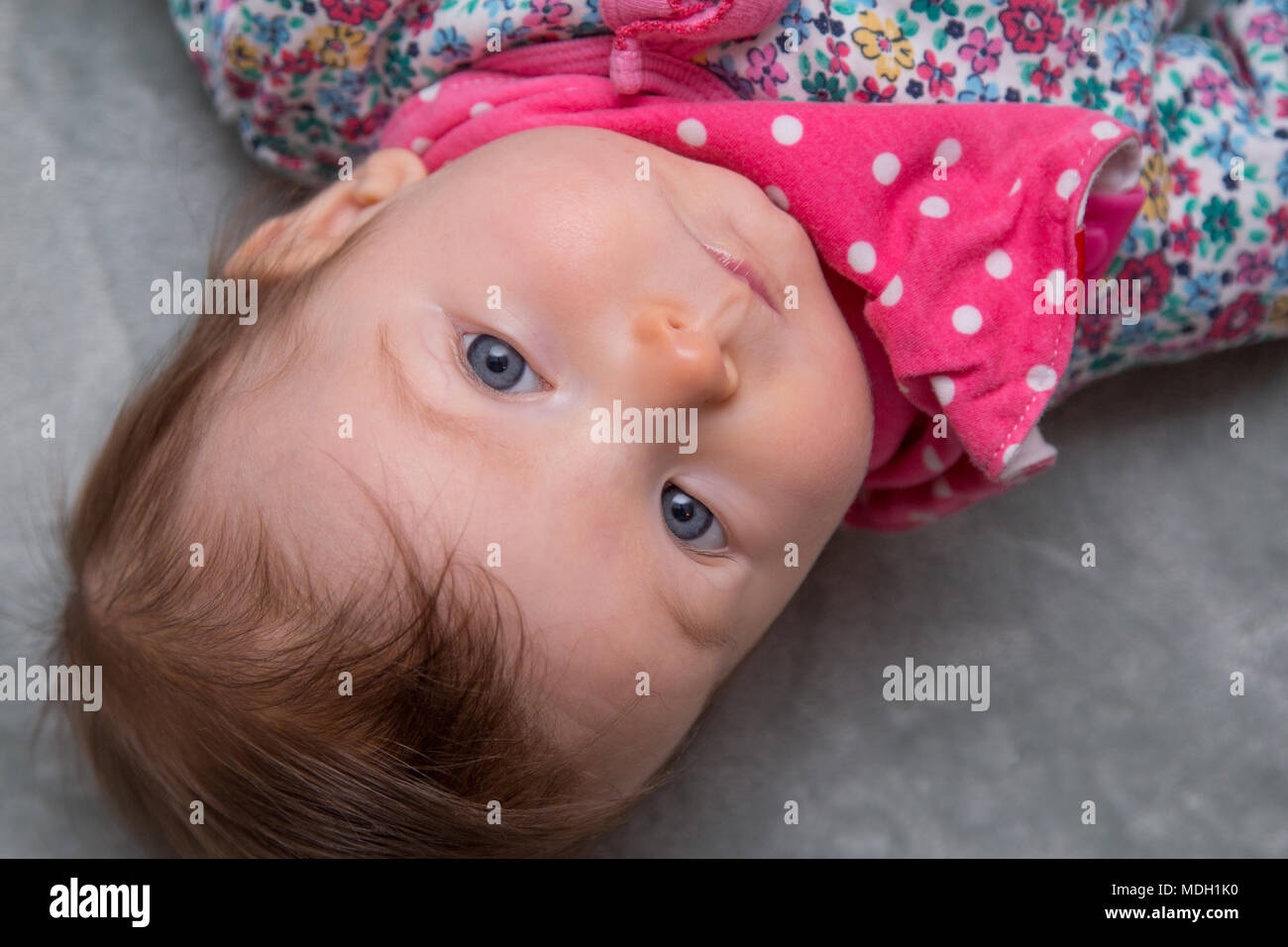 5 month old baby lying on back Stock Photo Alamy