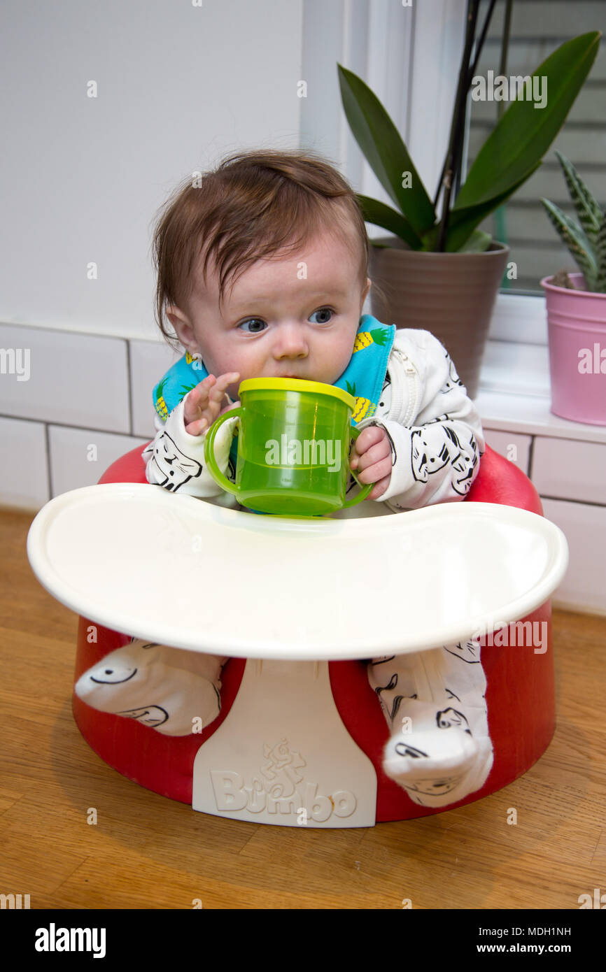 7 month old baby in high chair drinking water from sippy cup Stock Photo -  Alamy