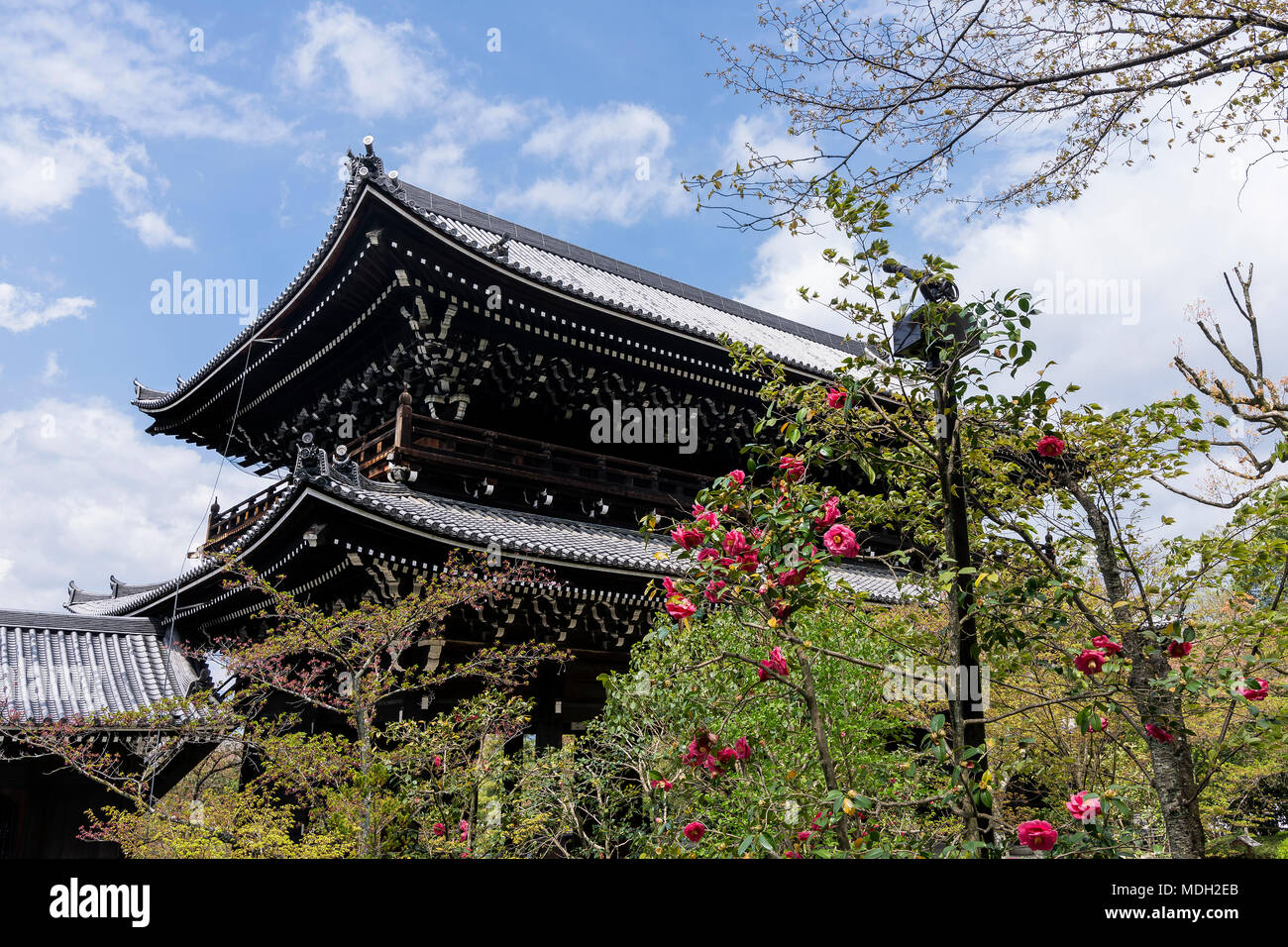 Beautiful blossoming trees near the entrance to the Chion-in temple in Kyoto, Japan Stock Photo