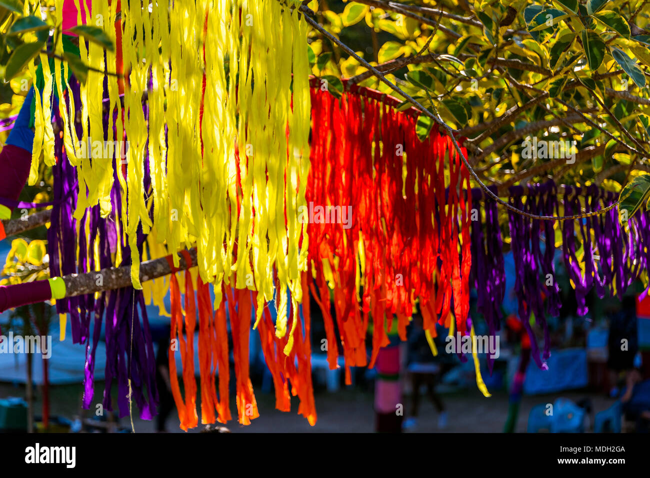 Color paper hanging on the tree for decoration Stock Photo Alamy