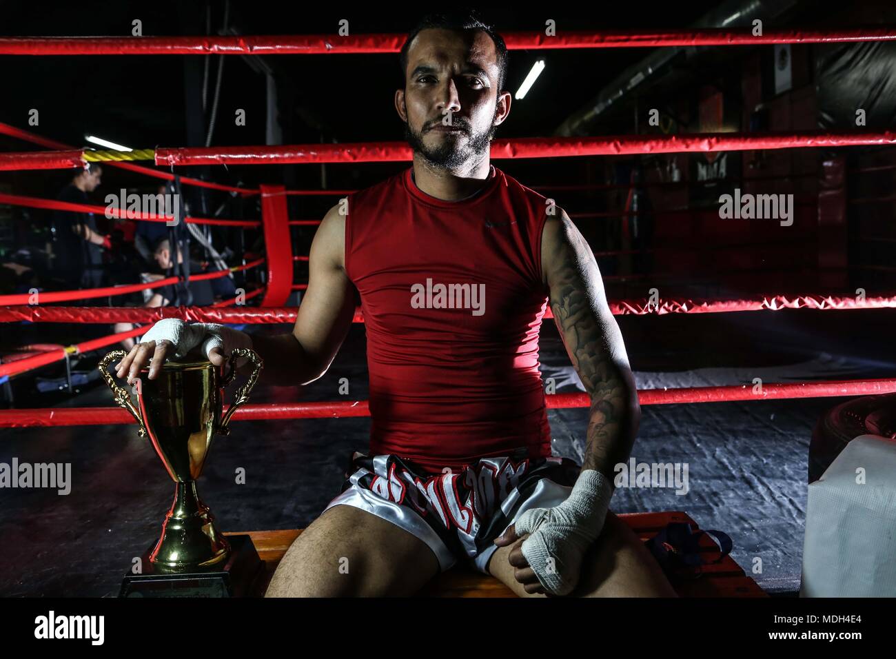 Portrait of sportsman. MMA, Mixed Martial Arts. Karate, Taekwondo, Jiu