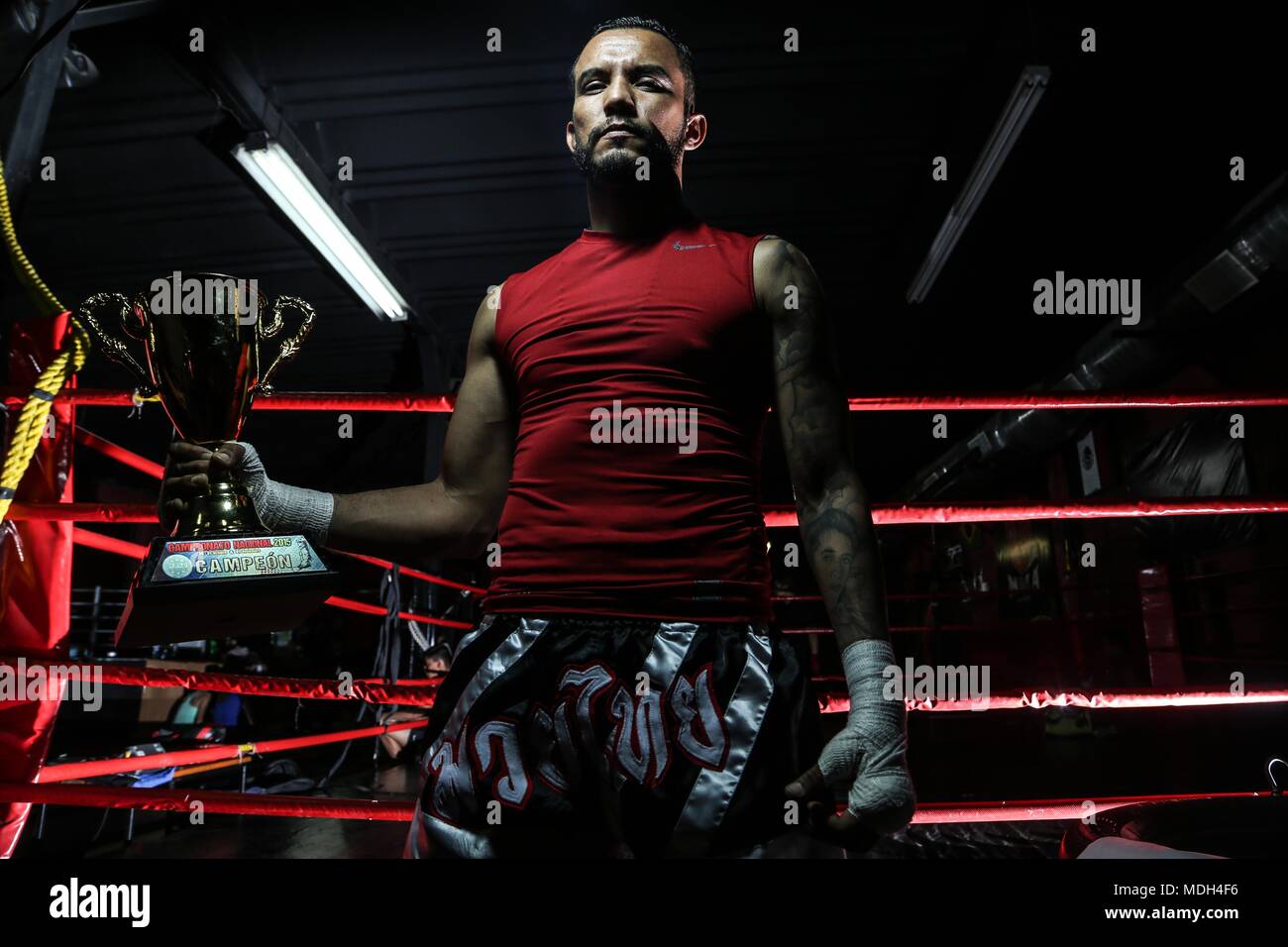 Portrait of sportsman. MMA, Mixed Martial Arts. Karate, Taekwondo, Jiu