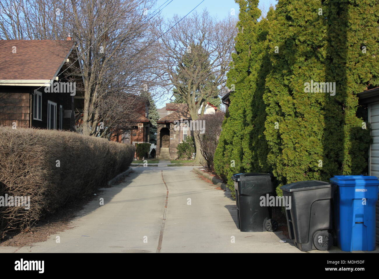 Quiet residential alley streetscape located in Chicago, Illinois Stock Photo Alamy