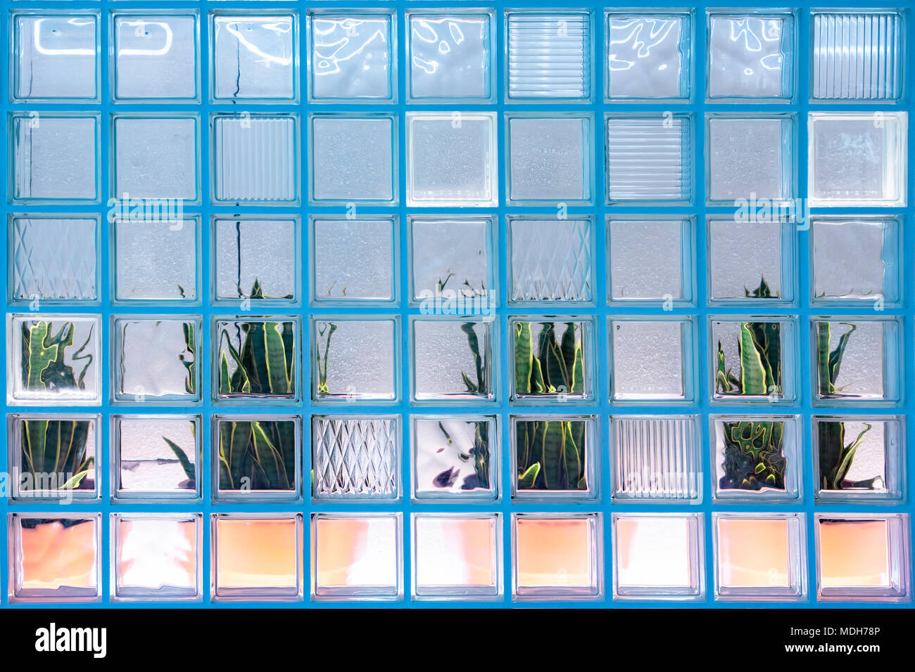 Plant behind frosted glass hires stock photography and images Alamy