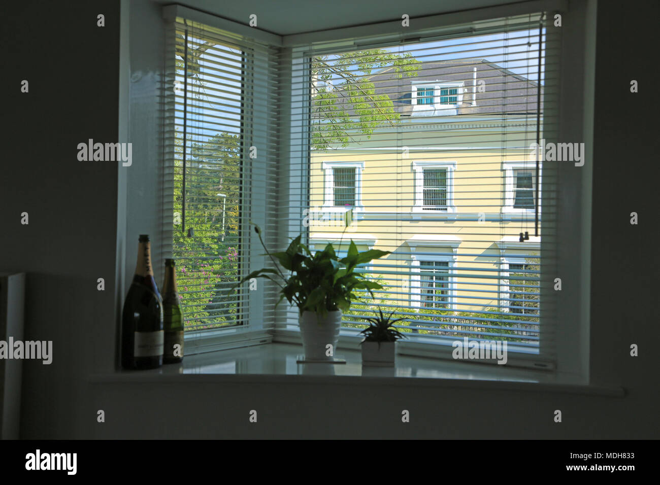 View of Georgian House Through Window Cheltenham Gloucestershire England Stock Photo