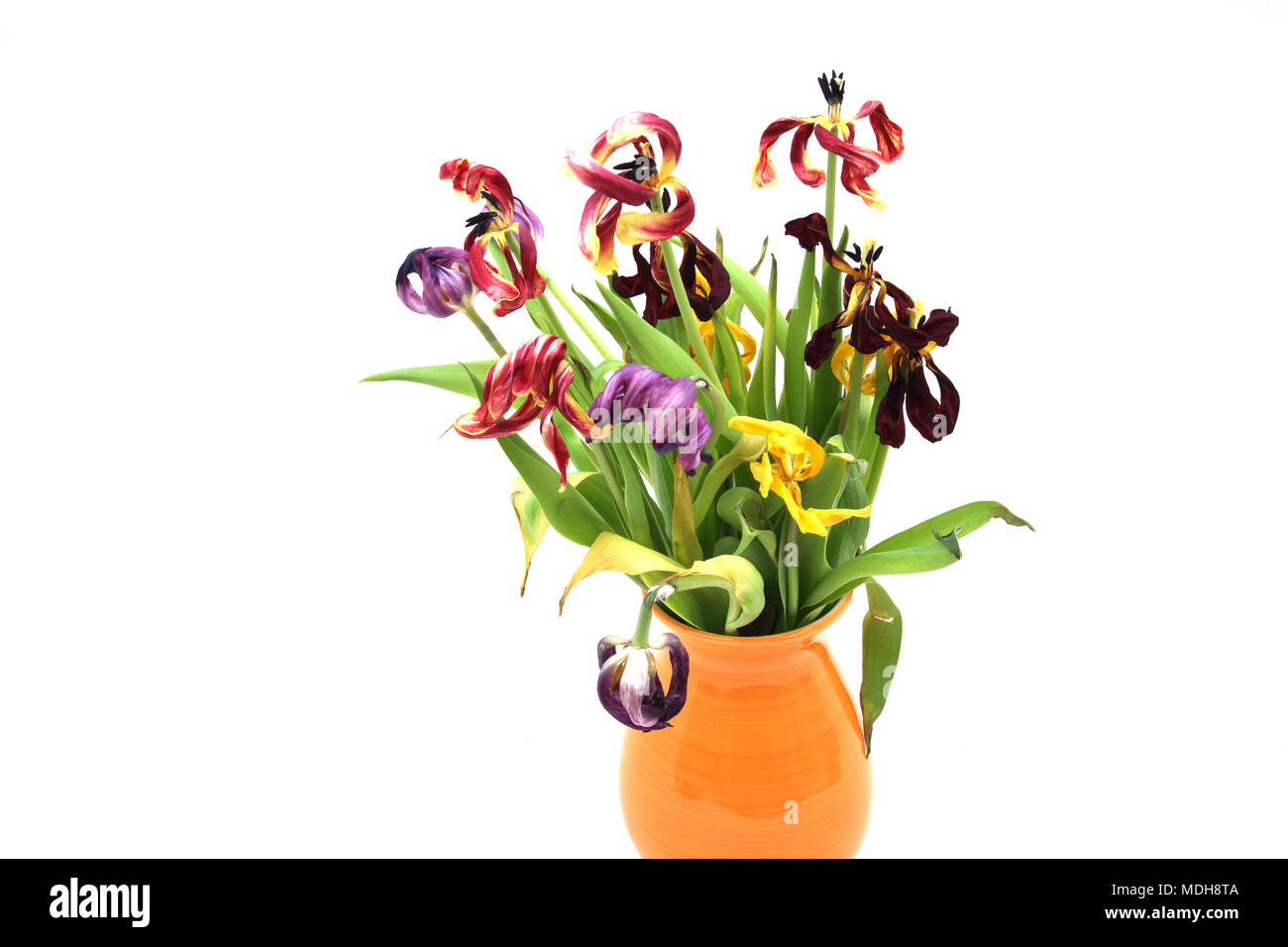 Dead flowers vase hires stock photography and images Alamy