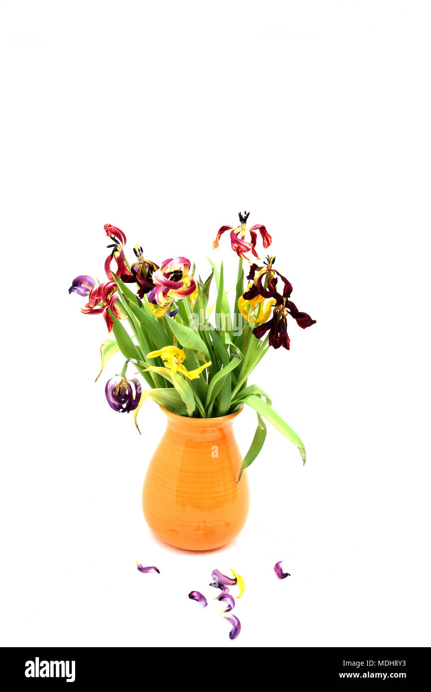 Dead flowers vase hires stock photography and images Alamy