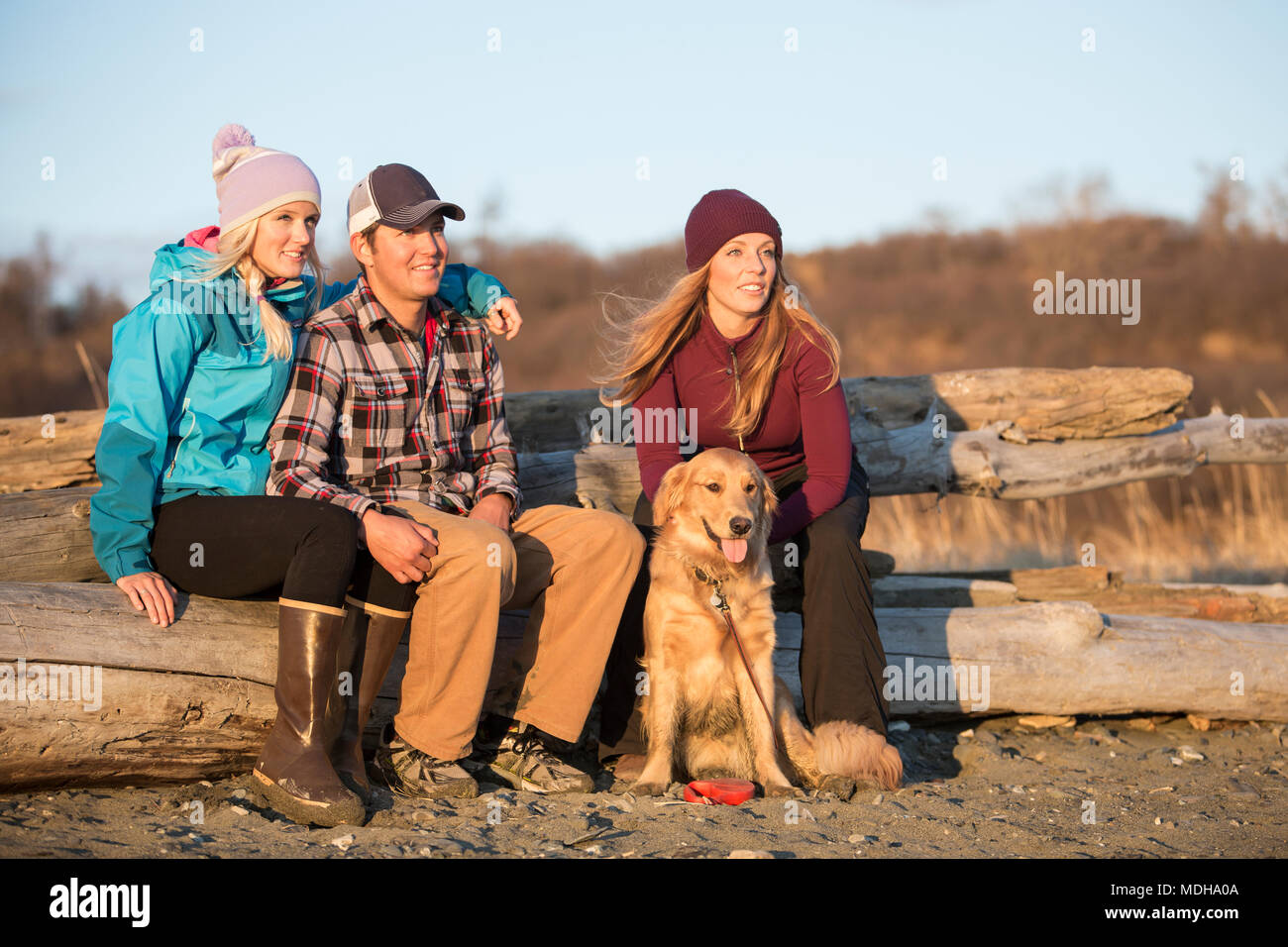 A young couple and a friend with a dog sit on a piece of driftwood on a beach looking out to the ocean at sunset Stock Photo