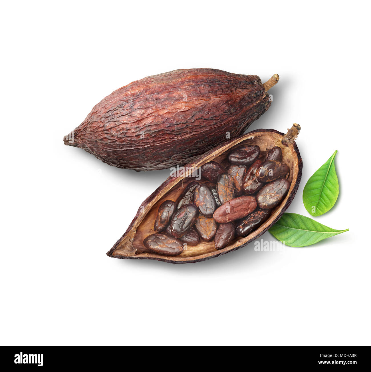 Cocoa beans in pods on a white background Stock Photo