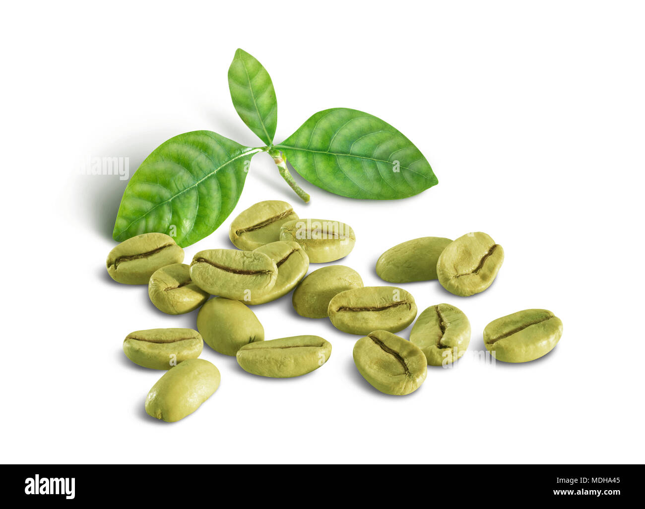 Green coffee beans with a cluster of green leaves on a white background