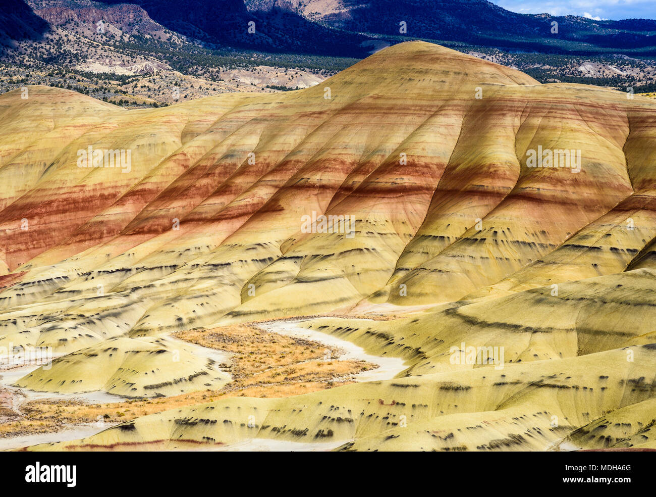 Fossil rock layers hires stock photography and images Alamy