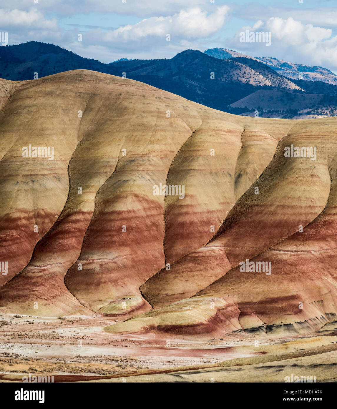 Colourful layers of minerals are exposed at John Day Fossil Beds National Monument; Mitchell, Oregon, United States of America Stock Photo