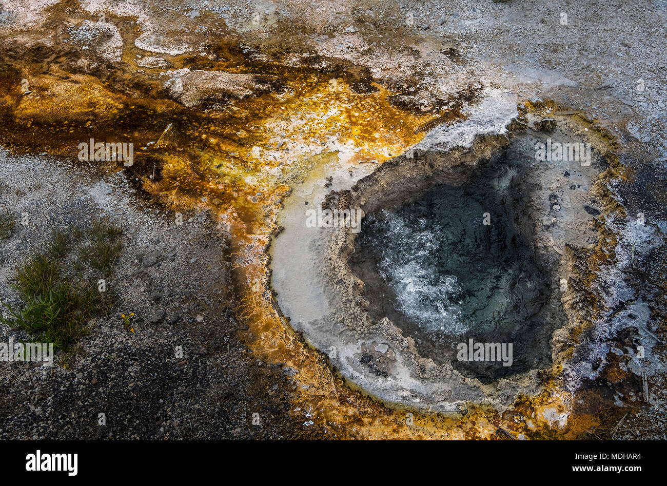 Close-up of Thermal Feature in Yellowstone National Park; Wyoming, United States of America Stock Photo