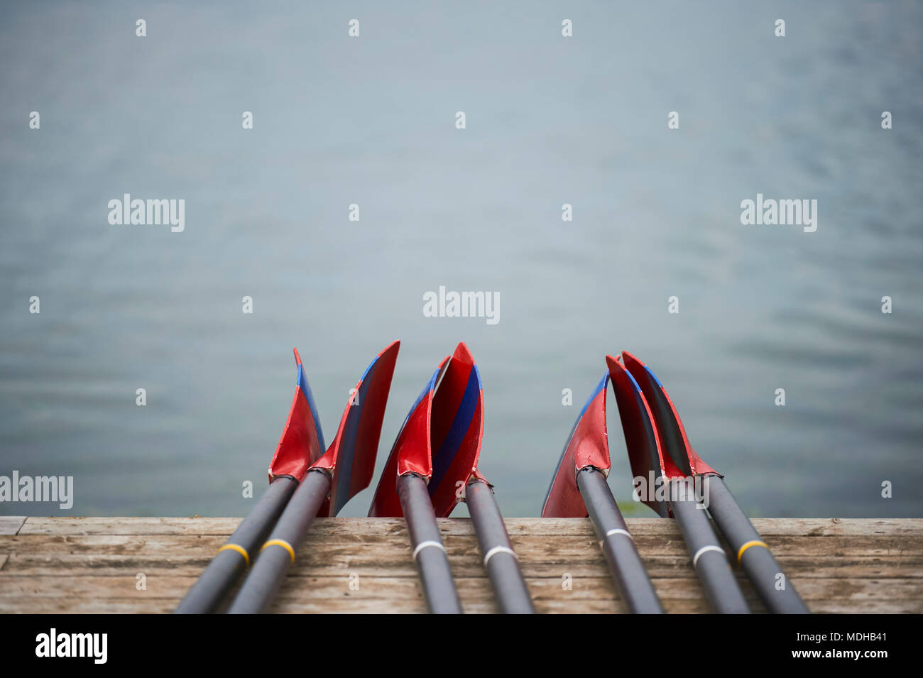Rowing blades hires stock photography and images Alamy