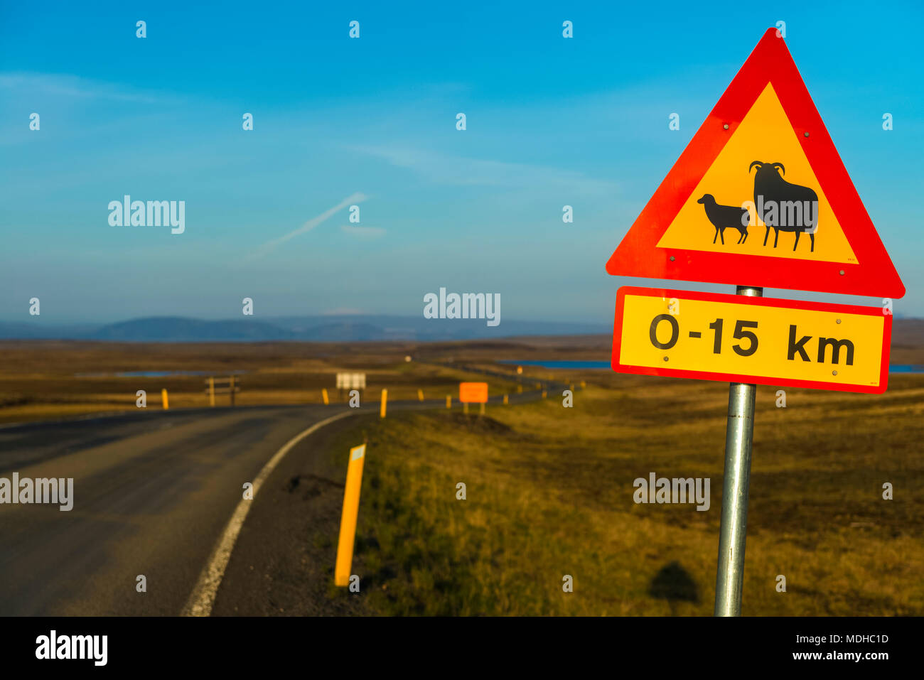 Road sign warning of sheep crossing and change of speed limit, near Laugarvatn; Iceland Stock Photo