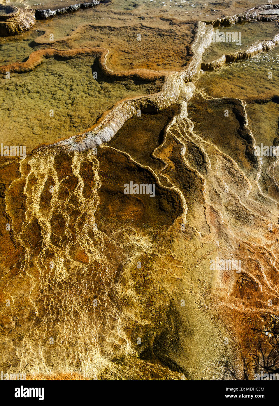 Aerial view of Mammoth Springs, Yellowstone National Park; Wyoming, United States of America Stock Photo