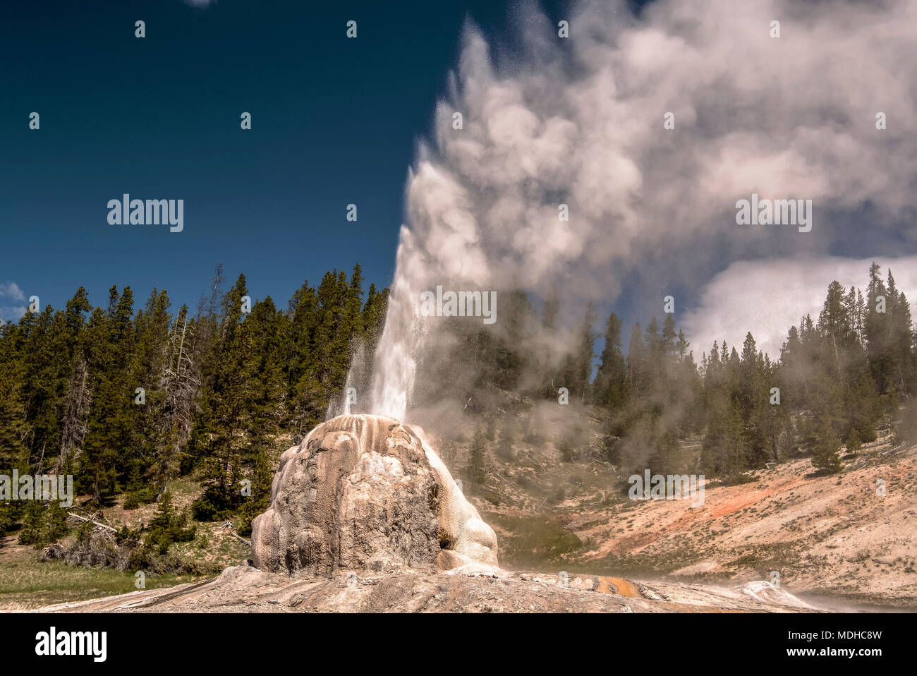 Lone Star Geyser is a cone type geyser located in the Lone Star Geyser Basin of Yellowstone National Park; Wyoming, United States of America Stock Photo