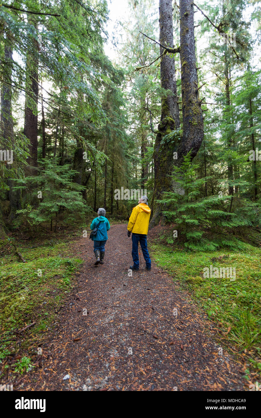 A senior couple walking on Golden Spruce Trail in an old growth forest; Port Clement, Haida Gwaii, British Columbia, Canada Stock Photo