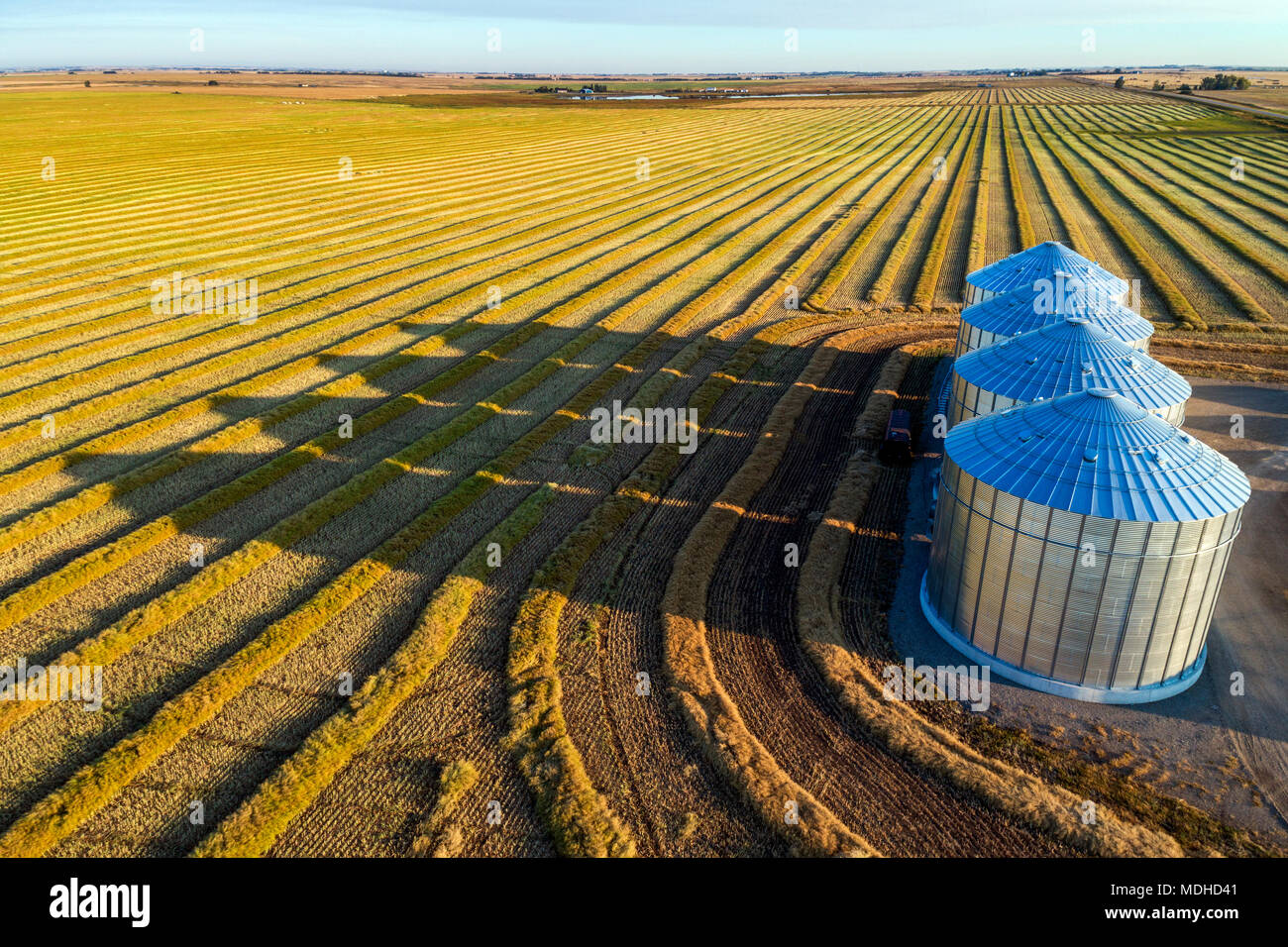 Aerial view of four large metal grain bins and canola harvest lines at