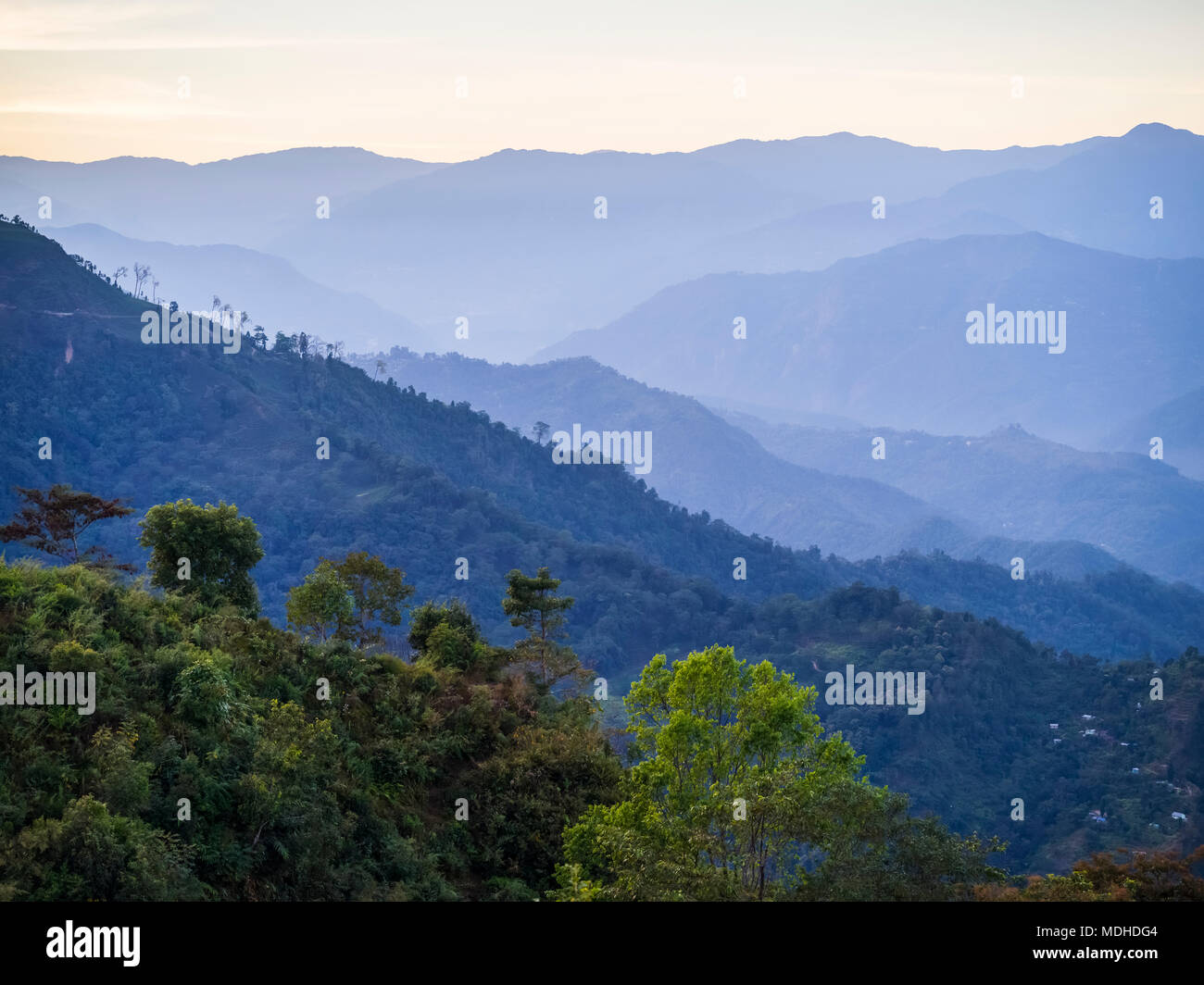 West bengal tea hi-res stock photography and images - Alamy