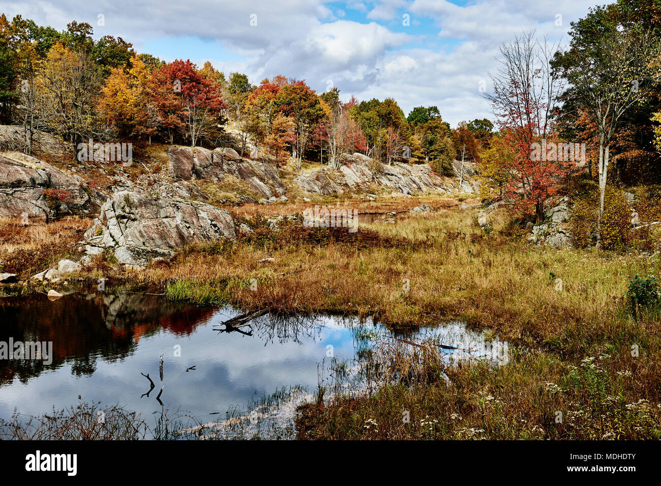 Autumn coloured foliage and clouds in Frontenac Provincial Park ...