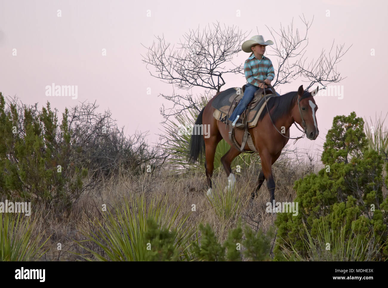 Young cowgirl looking for stray cattle on a West Texas ranch Stock Photo