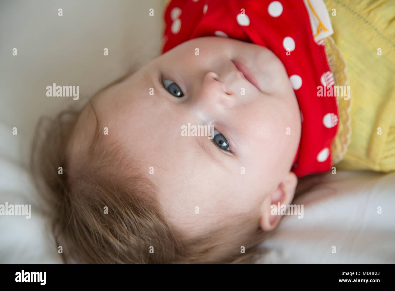 7 month old baby girl Stock Photo Alamy