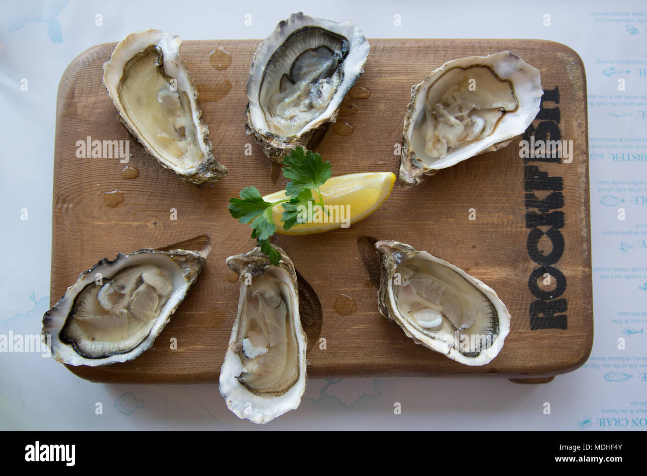 Oysters Stock Photo