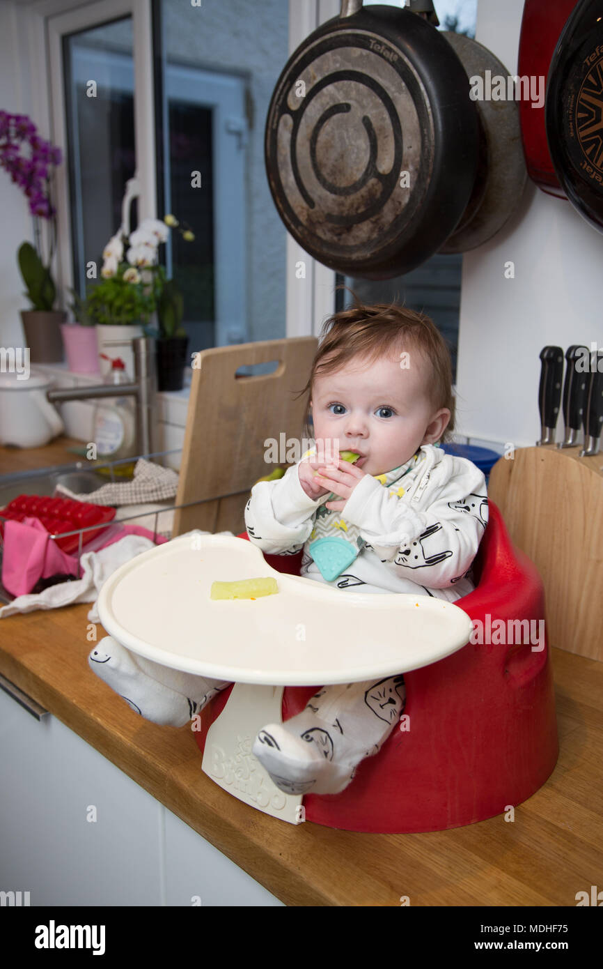 6 month old baby girl baby led weaning Stock Photo - Alamy