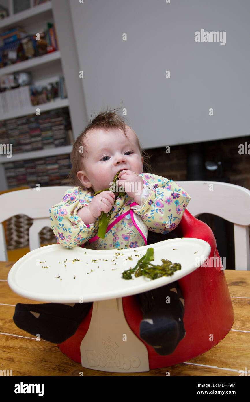 broccoli for 6 month baby