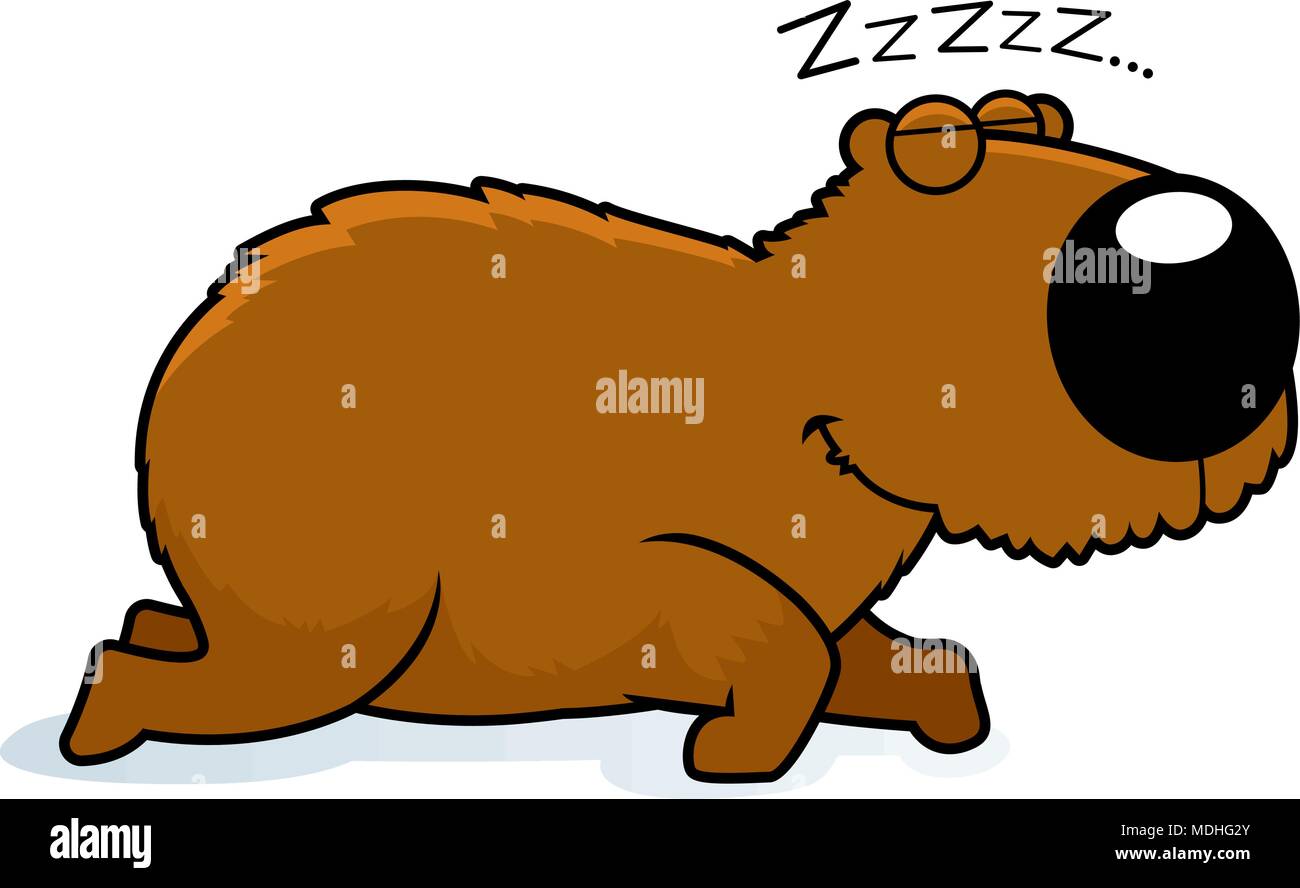 A cartoon illustration of a capybara sleeping. Stock Vector