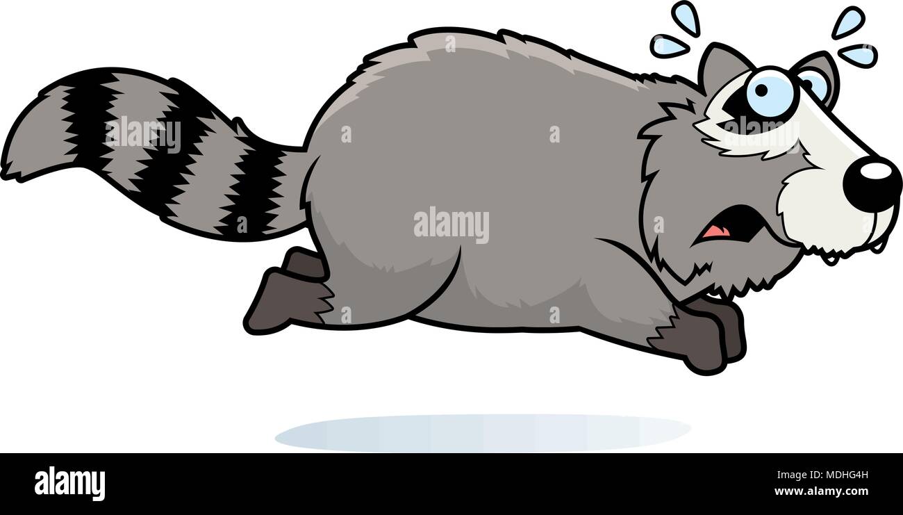 A cartoon illustration of a raccoon running away Stock Vector Image ...