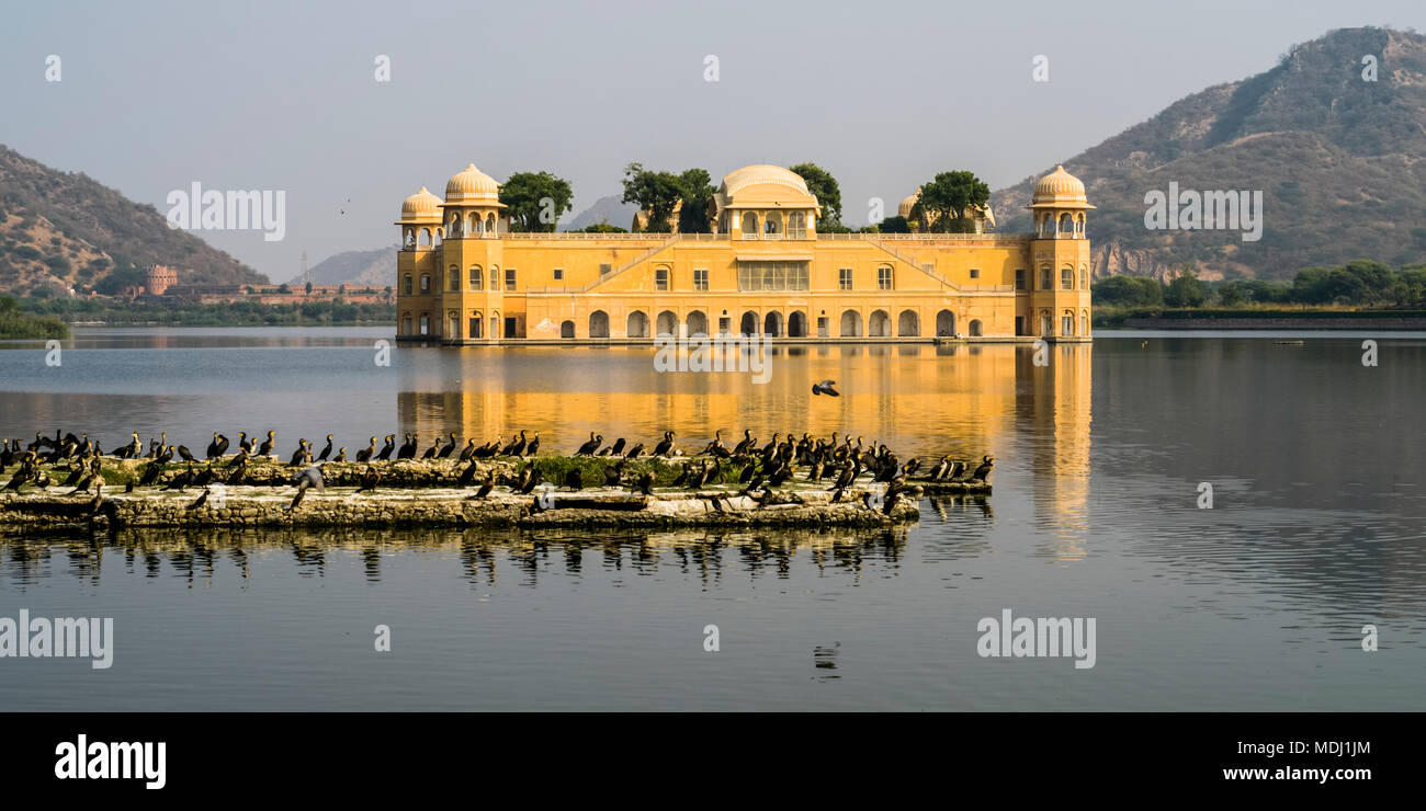 Jal Mahal Palace, made of red sandstone, sitting submerged in Man Sagar
