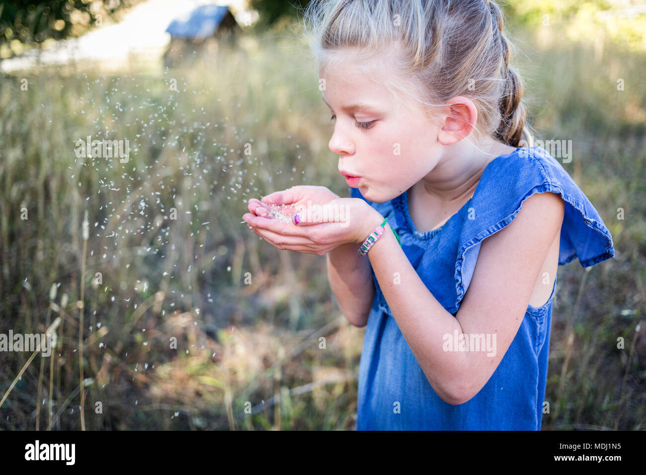 A young girl blows a small grain from her cupped hands into the air; Salmon Arm, British Columbia, Canada Stock Photo