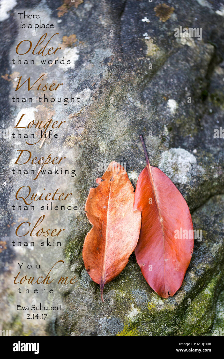Sentimental Autumn Decorative artwork with a sentimental poem written over rock with ...