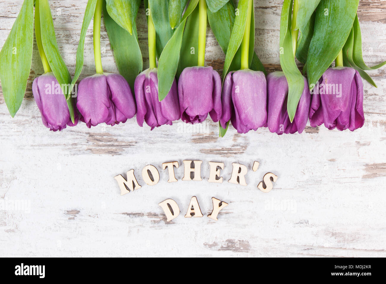 Bouquet of purple tulips for mother's day on white rustic boards Stock Photo - Alamy