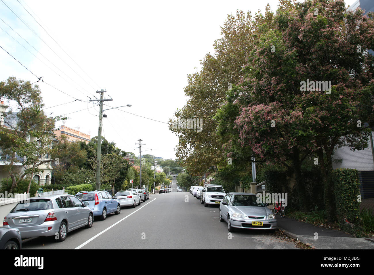 Hereford Street in Glebe, Sydney, Australia Stock Photo Alamy