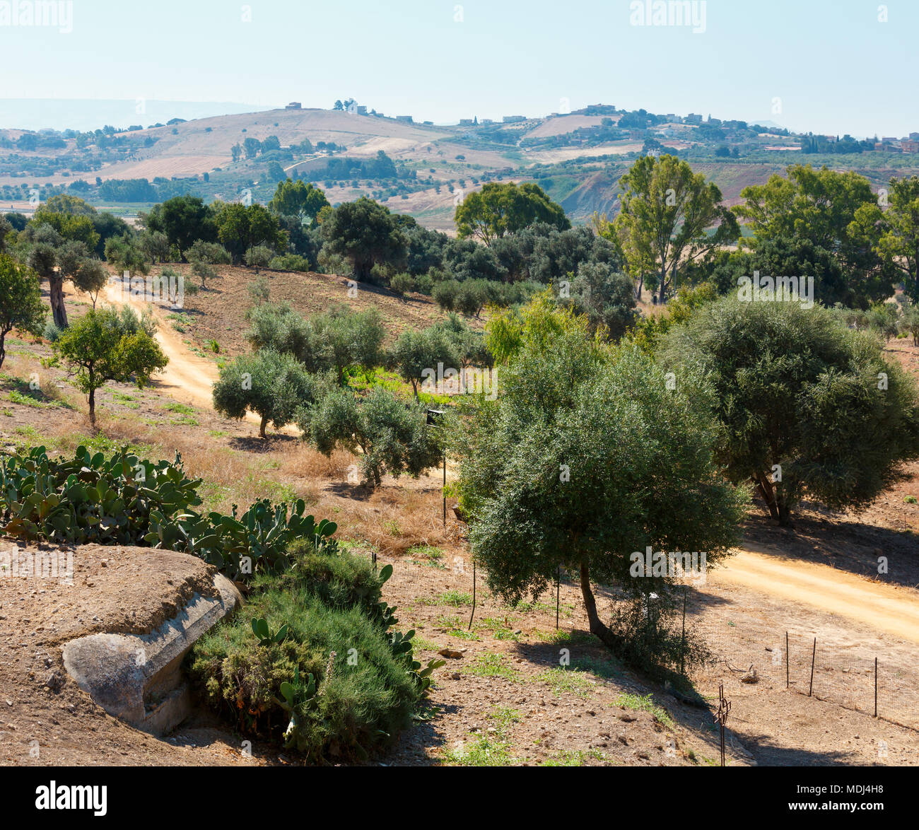 Maremma (Tuscany, Italy), Country Landscape With Sunflowers At Summer Stock  Photo, Picture and Royalty Free Image. Image 11937226., image size:1300x1174