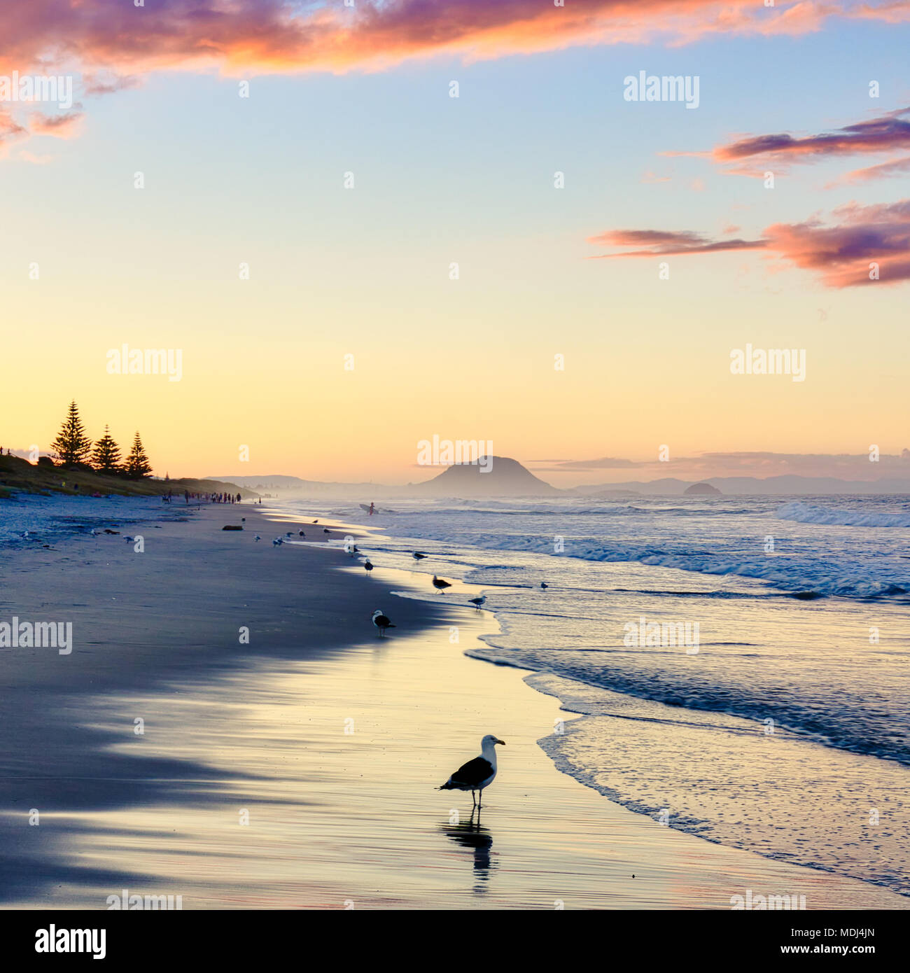 Papamoa beach hires stock photography and images Alamy