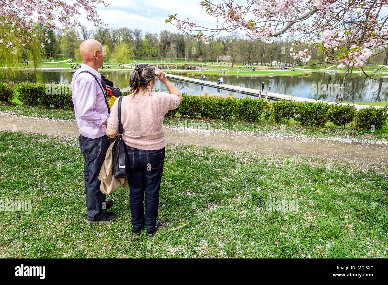 An elderly couple, Seniors, Flowering cherries in park Stromovka Prague Holesovice, Czech Republic Stock Photo