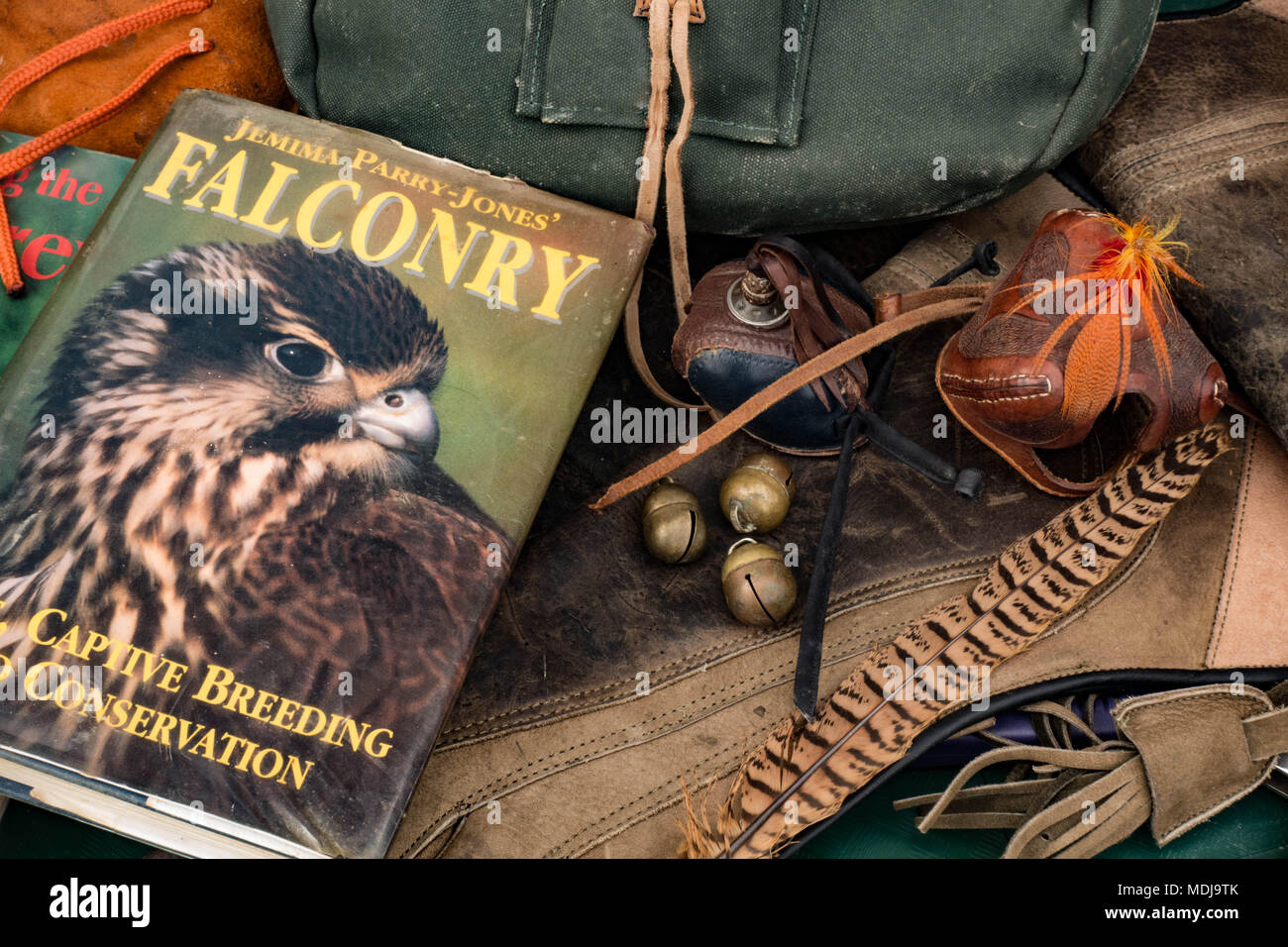 Collection of falconry items displayed on table. Wales. Stock Photo