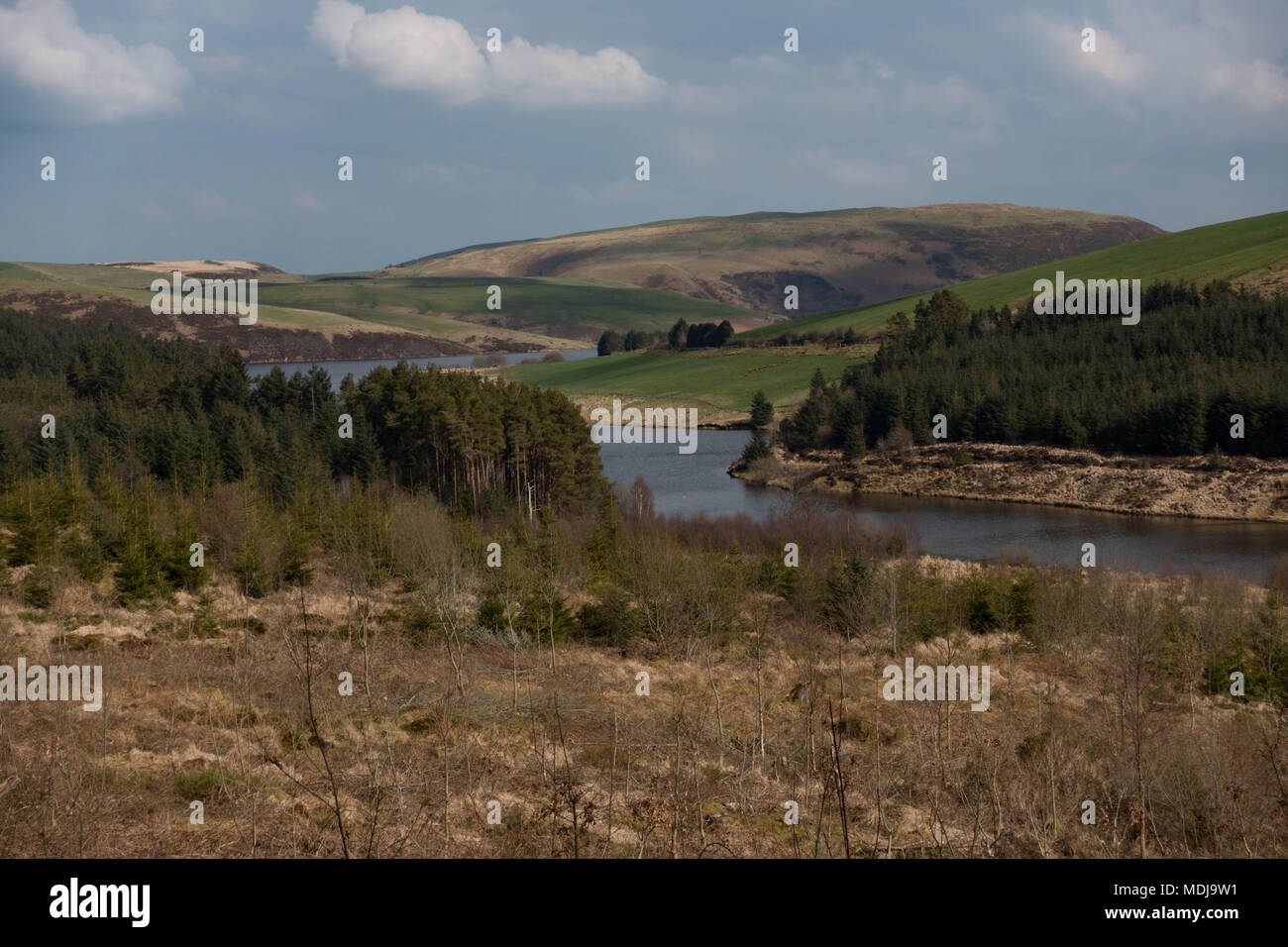 Llyn Clywedog Reservoir.. Powys. Wales Stock Photo - Alamy