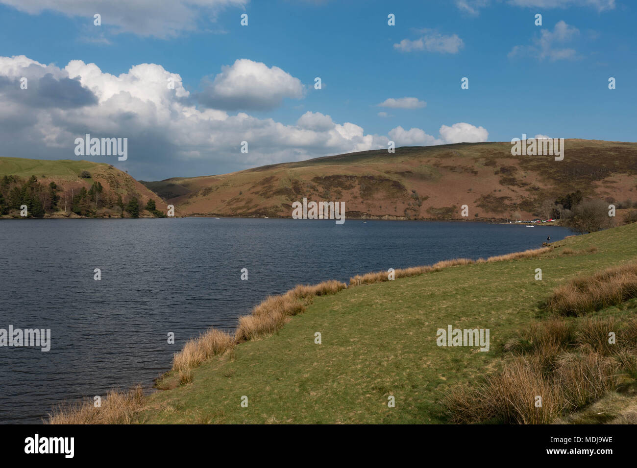 Llyn Clywedog Reservoir.. Powys. Wales Stock Photo Alamy