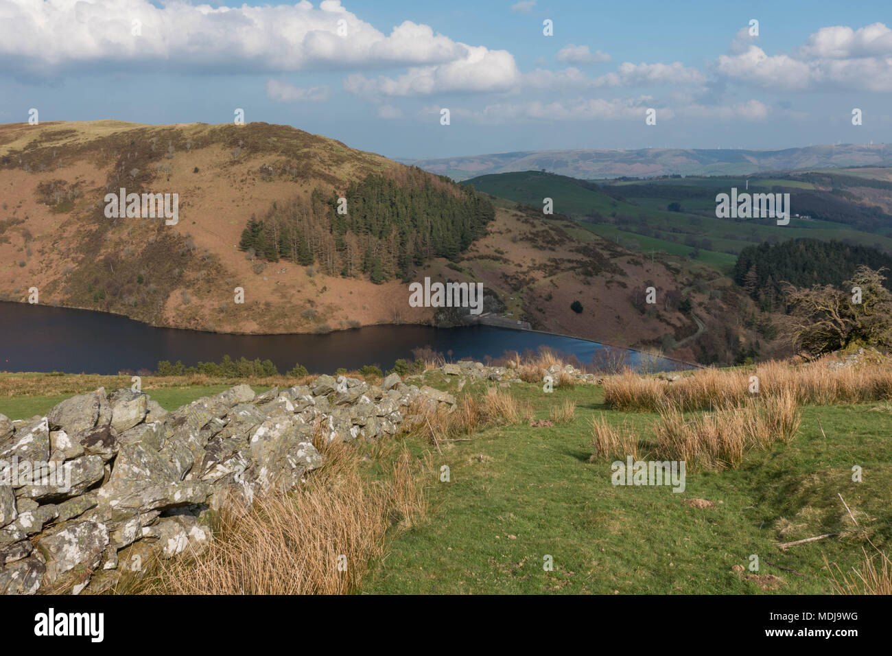Llyn Clywedog Reservoir.. Powys. Wales Stock Photo Alamy