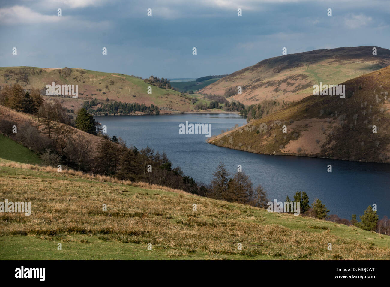 Llyn Clywedog Reservoir.. Powys. Wales Stock Photo Alamy