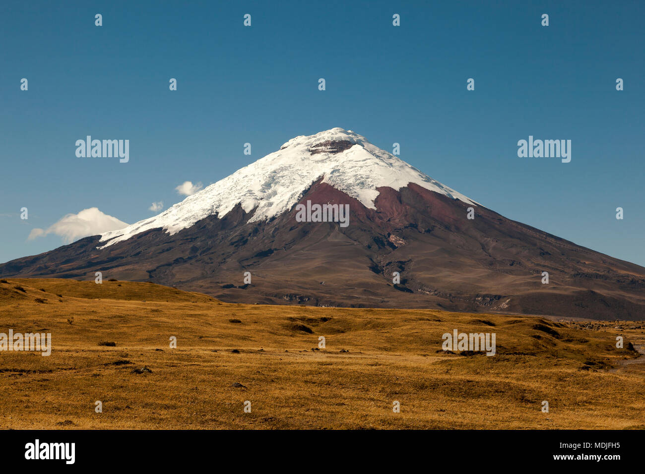 Cotopaxi volcano and paramo hills with blue sky Stock Photo